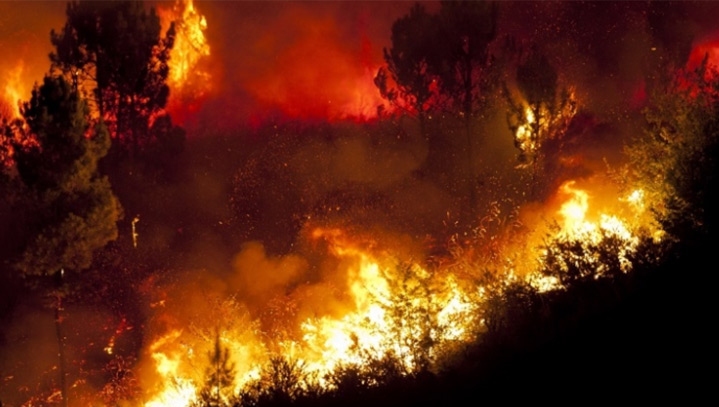 The statement sets out several ‘vital signs’ - indicators of magnitude of the climate emergency